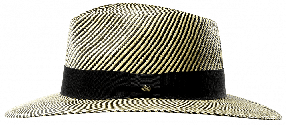 Panama Zebra Sfr. 165.-